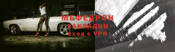 мдпв Ельня